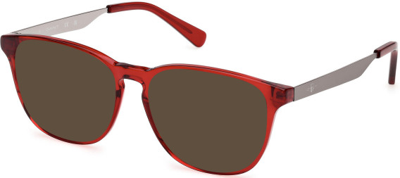 Gant GA50077 glasses in Shiny Bordeaux