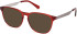 Gant GA50077 glasses in Shiny Bordeaux