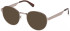Gant GA50091 glasses in Shiny Dark Bronze