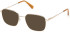 Gant GA50098 glasses in Shiny Pale Gold