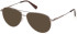 Gant GA50099 glasses in Shiny Dark Bronze