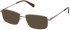 Gant GA50106 glasses in Shiny Dark Bronze