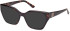 Guess GU50112 glasses in Dark Havana