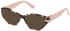 Guess GU50119 glasses in Coloured Havana