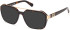 Guess GU50138 glasses in Dark Havana
