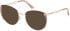 Guess GU50250 glasses in Matte Beige
