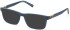 Timberland TB1797 glasses in Blue/Gold