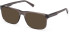 Timberland TB50055 glasses in Shiny Grey