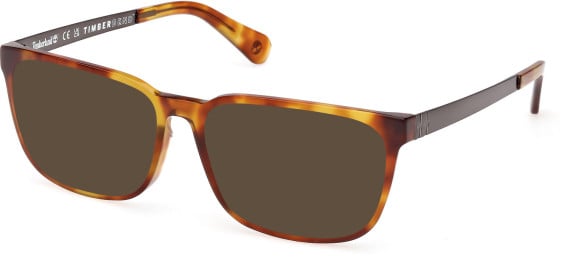 Timberland TB50086-H glasses in Havana/Havana