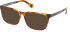 Timberland TB50086-H glasses in Havana/Havana