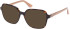Guess GU2938-55 glasses in Dark Havana