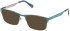 Gant GA50090-57 glasses in Shiny Dark Green