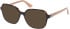 Guess GU2938-55 glasses in Dark Havana