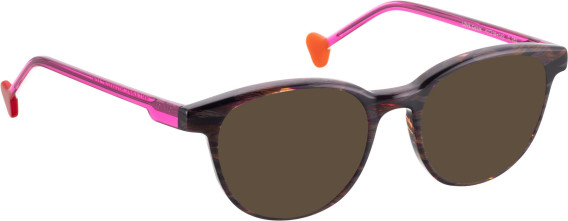 BELLINGER LOVE-COLORS sunglasses in Brown / Brown