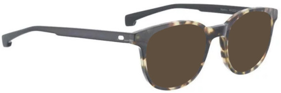 ENTOURAGE OF 7 HANK-L sunglasses in Brown / Brown