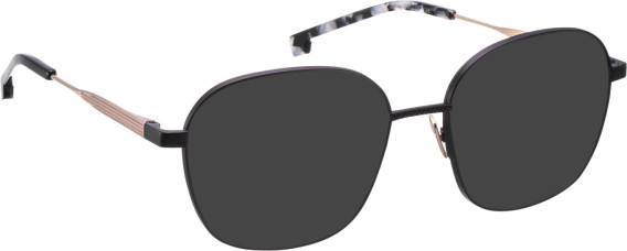 ENTOURAGE OF 7 REVA sunglasses in Black / Black