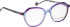 Bellinger AXIS-2 glasses in Blue/Purple