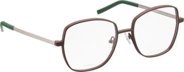 Bellinger BOLDLINE-3 glasses in Brown/Silver