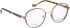 Bellinger BOLDLINE-SP12 glasses in Brown/Copper