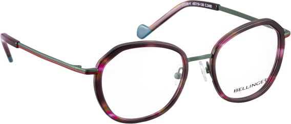 Bellinger CICULA-4 glasses in Brown/Green
