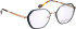 Bellinger ELLIPSE-3 glasses in Green/Copper