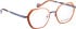 Bellinger ELLIPSE-3 glasses in Orange/Blue