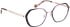Bellinger ELLIPSE-3 glasses in Purple/Rose Gold