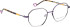 Bellinger INCOLOR-3 glasses in Purple/Grey