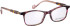 Bellinger JUST-SERENE glasses in Purple/Brown