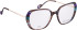 Bellinger LESS-2589 glasses in Brown/Brown