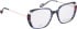 Bellinger LESS-2589 glasses in Blue/Blue