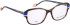 Bellinger LESS-ACE-2587 glasses in Brown/Blue