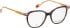 Bellinger LESS-ACE-2611 glasses in Brown/Brown