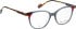 Bellinger LESS-ACE-2611 glasses in Grey/Brown