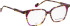Bellinger LESS-ACE-2612 glasses in Brown/Purple