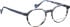 Bellinger SKYRAIDER glasses in Grey/Blue