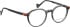 Bellinger SKYRAIDER glasses in Grey/Grey