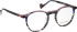 Bellinger TITAN glasses in Grey/Grey