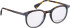 Bellinger WILDCAT glasses in Grey/Brown