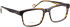 Entourage Of 7 ARNOLD glasses in Brown/Brown