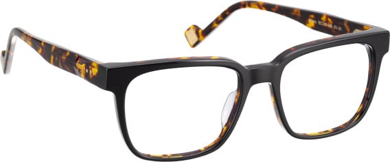 Entourage Of 7 ARTURO glasses in Black/Brown