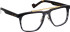 Entourage Of 7 BRODY glasses in Blue/Brown