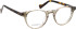 Entourage Of 7 FIELD glasses in Clear Brown