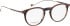 Entourage Of 7 FRANKLIN glasses in Brown/Brown