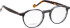 Entourage Of 7 HADLEY-SK glasses in Grey/Brown