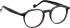 Entourage Of 7 HADLEY-SK glasses in Tortoise