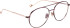 Entourage Of 7 JINTO glasses in Brown/Copper