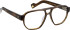 Entourage Of 7 PALM-VIPER-4 glasses in Brown/Brown