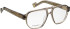 Entourage Of 7 PALM-VIPER-4 glasses in Transparent Brown