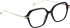 Entourage Of 7 SAFFRON glasses in Black/Gold